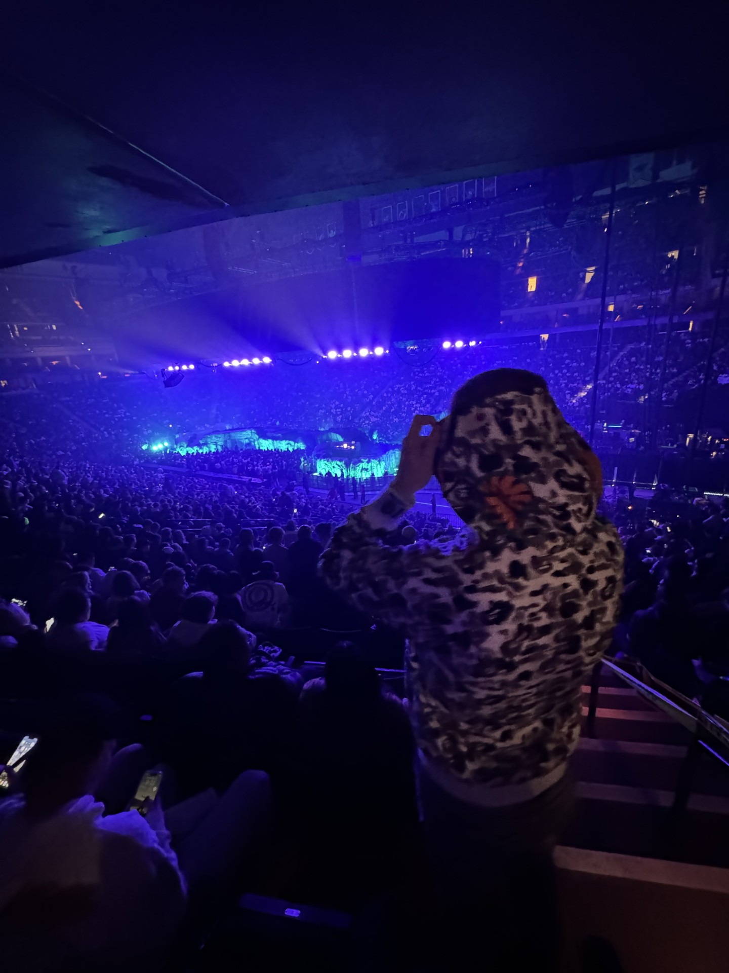 I love watching my fafvorite artists in concerts when tickets are cheap enough.